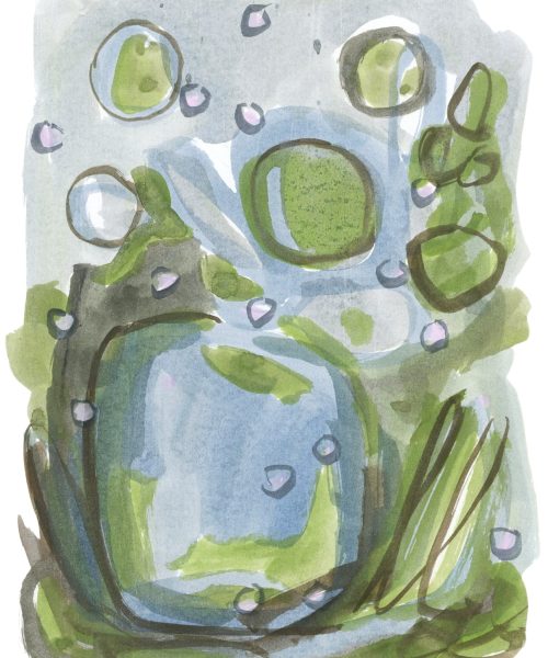 Le jardin de mes pensées (4)